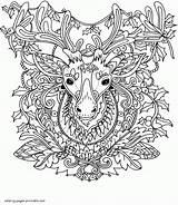 Coloring Christmas Adult Pages Reindeer Adults Printable Print Look Other sketch template