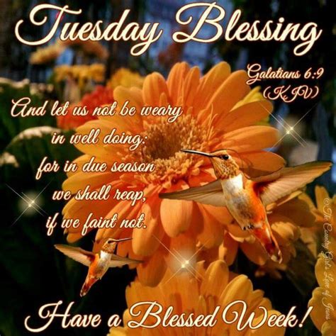 tuesday blessing pictures   images  facebook tumblr