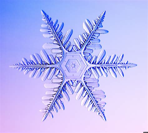 incredible close  snowflake photography pictures huffpost uk
