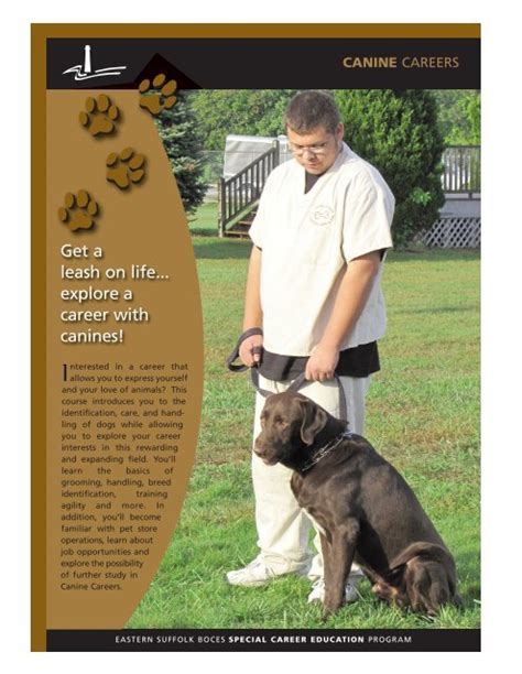 brochure eastern suffolk boces