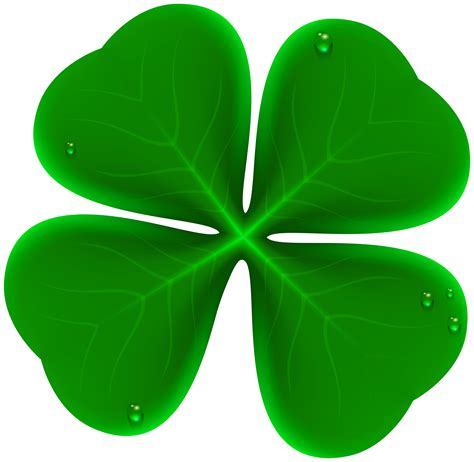 cartoon  leaf clover png im    kind  luck