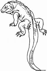 Lizard Coloring Pages Reptile Printable Kids Outline Print Colouring Gecko Color Salamander Long Drawing Tail Sheets Reptiles Realistic Template Monitor sketch template