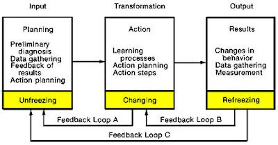owls analysis action research process
