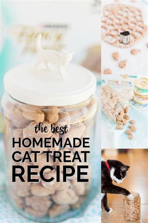 These Delicious And Easy Homemade Cat Treats Are A Great Way To Say I
