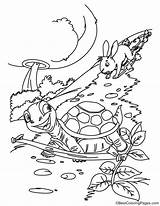 Hare Tortoise Coloring Pages Kids sketch template
