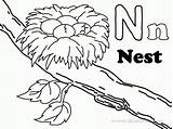 Nest Bald sketch template