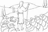 Brebis Pastor Biblekids Berger Bom Parabole Depuis Sheep sketch template