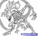 Alien Xenomorph Drawing Predator Coloring Queen Pages Line Tattoo Vs Getdrawings Drawings Colouring Outline Snake Head Space Printable Easy Dragoart sketch template