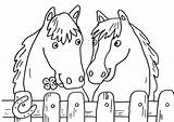 Pferde Ausmalbilder Ausmalbild Zwei Malvorlage Zaun Pferd Malen Pferdebilder Einhorn Stehen Kostenlosen Hunde Einzige Augen Reiterin Pferden Born Malbuch Zeichnen sketch template