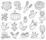 Vegetables Fruits Doodle Doodles Drawings Graphicriver sketch template