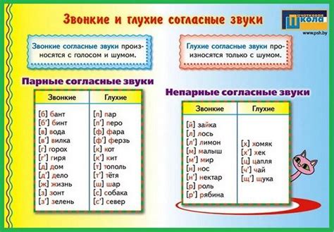 Ответы на какие две группы делятся звуки русского языка