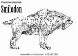 Smilodon Prehistoric Tooth Mammals Toothed Sabertooth sketch template