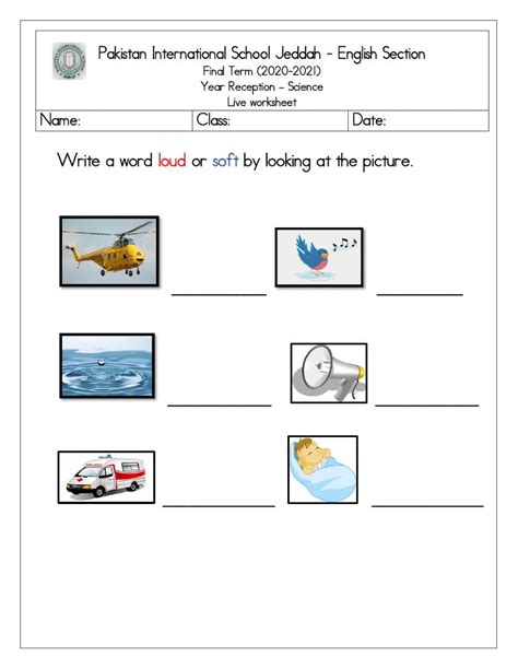 sources  sound  worksheet worksheet  worksheets