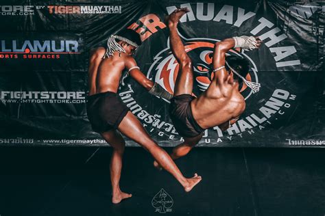 tiger muay thai and mma training camp phuket tourist association