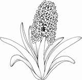 Leaves Coloring Pages Flower sketch template