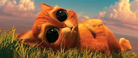 puss  boots hd wallpapers hd wallpapers