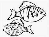 Drawing Fish Coloring Colouring Fishes Colour Beautiful Getdrawings sketch template