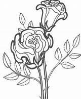 Roses Bestcoloringpagesforkids Coloriages Luther sketch template