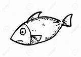 Meat Coloring Fish Clipart Designlooter Doodle 49kb 1300 sketch template