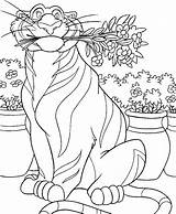 Tigre Aladino Colorea Enamorados Tigres Rajah Cibercuentos Aladdin Siete Bordar Bengala sketch template