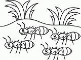 Coloring Pages Ants Ant Grasshopper Clipart Marching Go Library sketch template