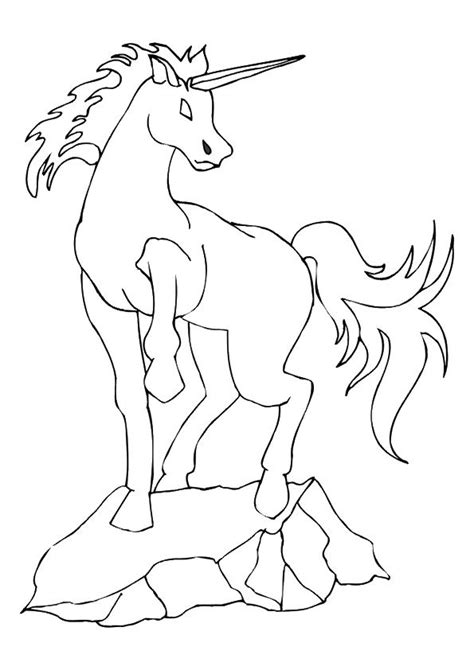 fairy riding unicorn coloring pages ferrisquinlanjamal