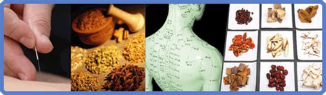 chinese acupuncture 2 year degree level diploma course