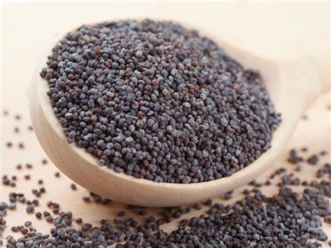 health powers  poppy seeds  knew food network healthy