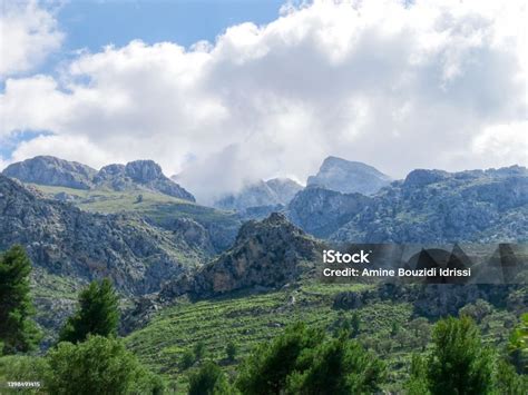 トラムンタナ山脈 マヨルカ島の緑豊かな山岳風景 カラー画像のストックフォトや画像を多数ご用意 カラー画像 スペイン トラムンタナ