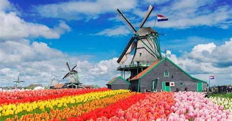 dutch windmills attractions sightseeing   netherlands