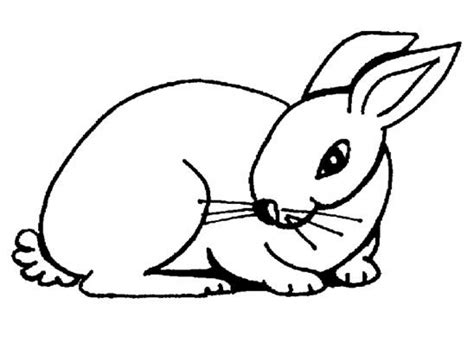 easy rabbit coloring pages  preschoolers ps