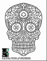 Pages Skull Coloring Adults Getcolorings Beautiful sketch template