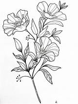 Flower Drawings Easy Simple Drawing Beautiful Line Flowers Floral Cartoon Tattoo Sketches Beginners Print A4 Cartoondistrict A3 Mykinglist Flores Dibujos sketch template