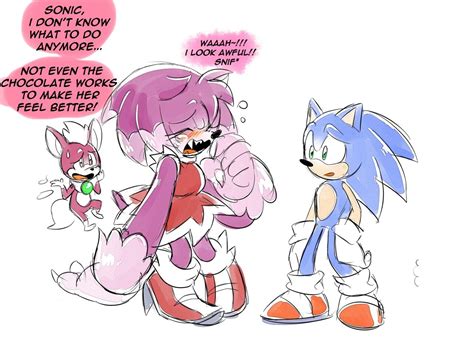Amy The Werehog 1 Sonic Sonic Unleashed Sonic Funny