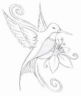 Hummingbird Coloring Drawing Pages Outline Easy Flower Bird Drawings Pencil Tattoo Humming Simple Color Sketch Tattoos Rocks Flowers Line Kids sketch template
