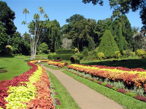 world visits  visit place botanical garden