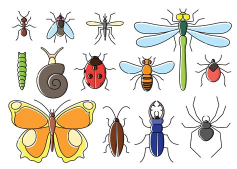 insects set  flat style  art bugs icon collection  vector