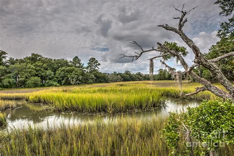 marsh walk photograph  dale powell fine art america