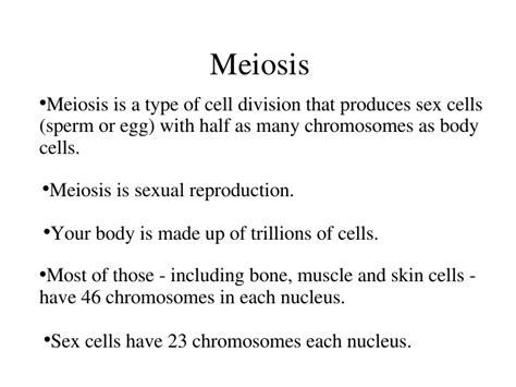meiosis notes