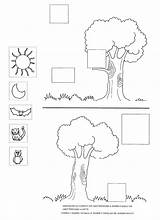 Notte Schede Didattiche Infanzia Maestra Attività Lamaestralinda Pronouns Materna Asilo Geografia Bacheca sketch template