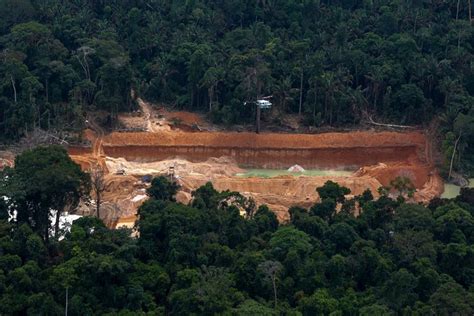 brazil drives increase  worldwide forest loss