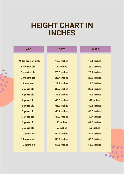 height chart  inches    templatenet