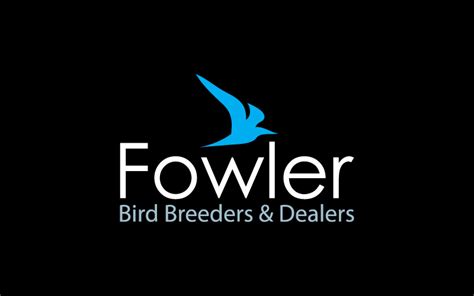 bird breeders dealers logo design