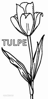 Tulpe Tulip Cool2bkids sketch template