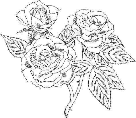 rose coloring pages  adults   animal coloring pages