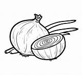 Zwiebel Cipolla Oignon Onion Grafiken Kleurend Witte Boek Vektoren Bianca Coloration sketch template