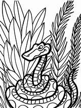 Snake Coloring Pages Color Animal Jungle Kids Snakes Printable Print Clipart Colouring Animals Library Safari Grass sketch template