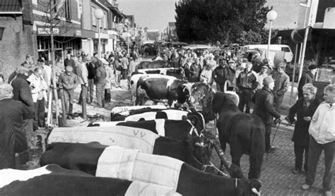 woensdag de historie van veemarkten en veehandel kijkt anders
