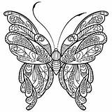 Bojanke Odrasle Papillon Butterfly Adulte Butterflies sketch template