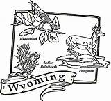 Coloring Wyoming Map Pages State Color Printable Arkansas Usa Tree Drawing Supercoloring Wisconsin Getcolorings States Template Dot sketch template